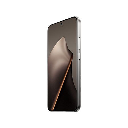 Xiaomi 15T 12/256GB Gray 