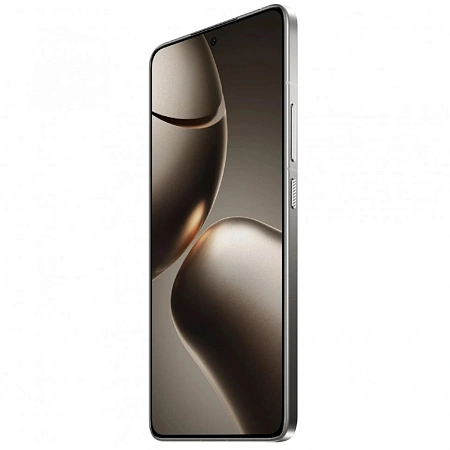 Xiaomi 14T Pro 12/256GB Gray 