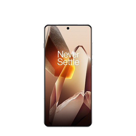 OnePlus 13 24/1TB Arctic Dawn 