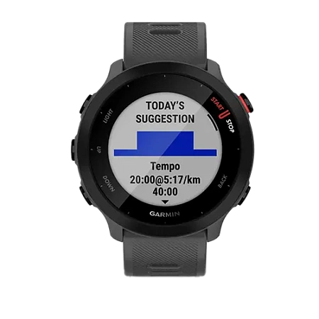 Garmin Forerunner 55 Monterra Grey