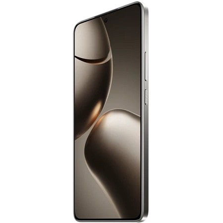 Xiaomi 14T 12/256GB Gray 