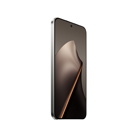 Xiaomi 15T 12/256GB Gray 