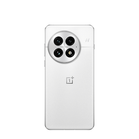 OnePlus 13 24/1TB Arctic Dawn 