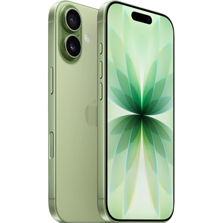 iPhone 17 256GB Sage