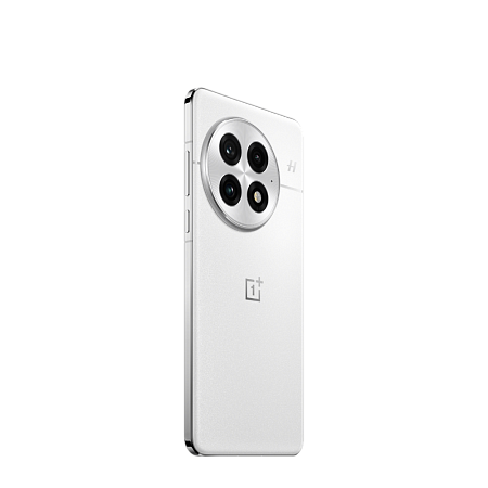 OnePlus 13 24/1TB Arctic Dawn 