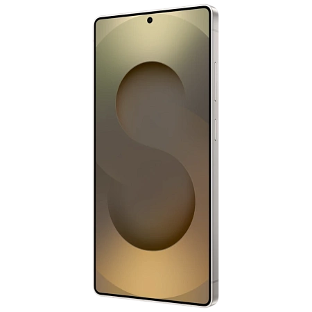 Samsung S25 Ultra 12/512GB Gray