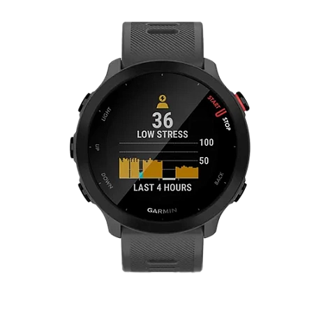Garmin Forerunner 55 Monterra Grey