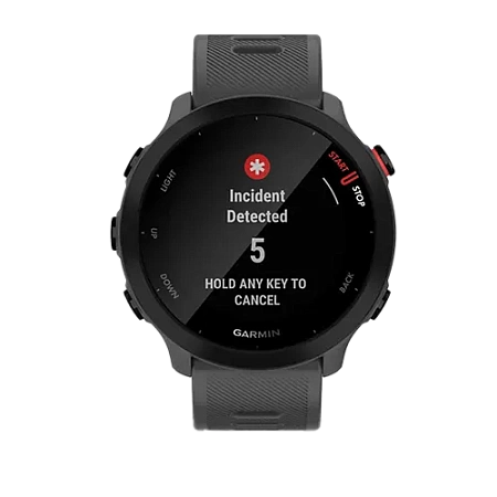 Garmin Forerunner 55 Monterra Grey