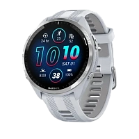 Garmin Forerunner 965 Titanium Bezel with Whitestone Case and Whitestone/Powder Grey Silicone Band