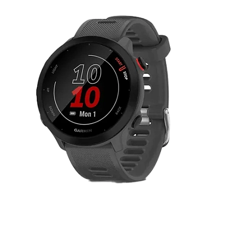 Garmin Forerunner 55 Monterra Grey