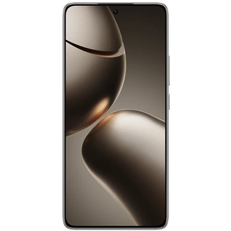 Xiaomi 14T 12/256GB Gray 